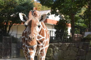 13歳おめでとう♪