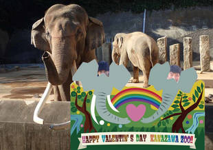 バレンタインは、ゾウの前で愛を誓うのだ!