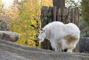 白好きにはたまらない!?