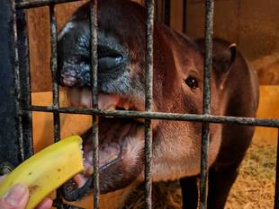 アグアのとある冬の一日