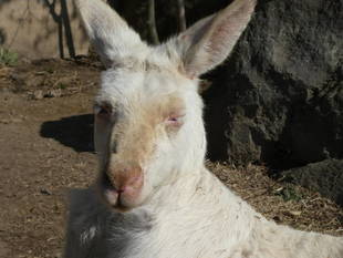 ルビーのお気に入りの場所