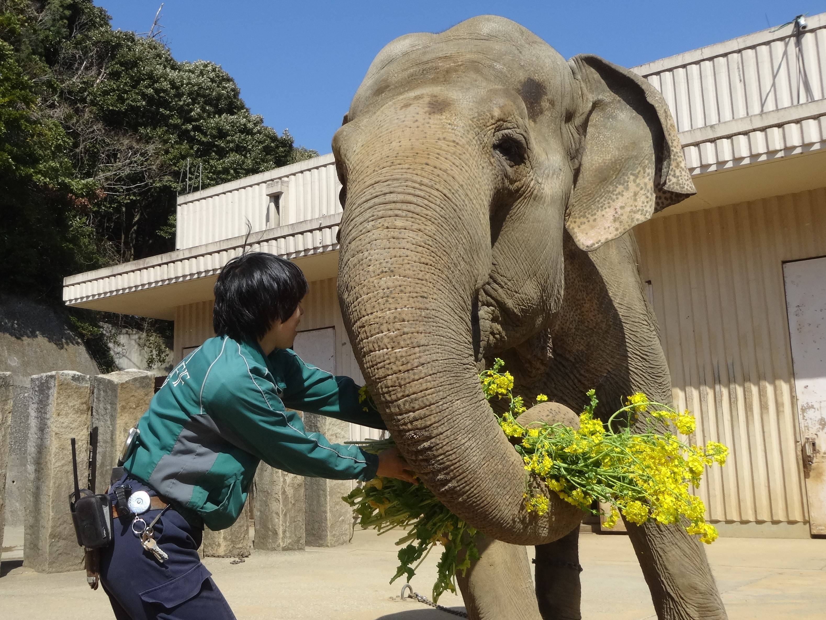花束贈呈の写真