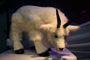 今年で9回目!動物園のアート展