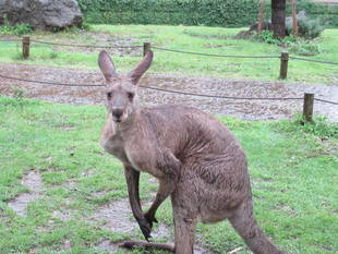 雨の日は・・・