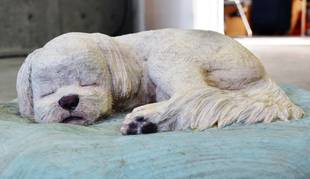 アート展はじめました(^o^)丿