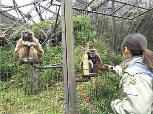 あら、このベットいいじゃない