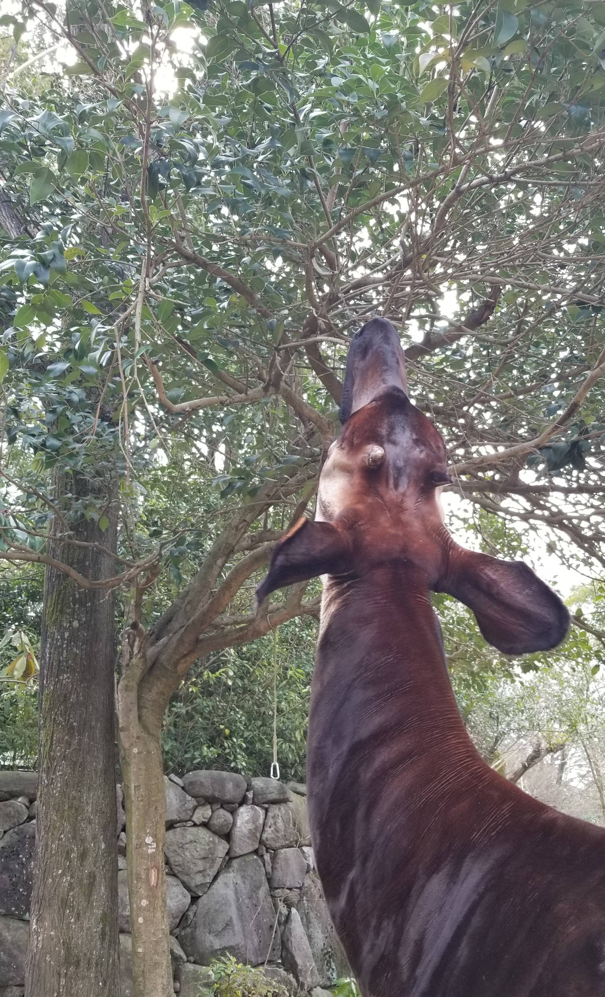 春の訪れの写真