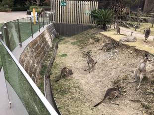 ウォークスルー利用時間についてのお知らせ