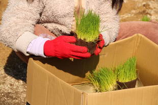 アニマルペアレント感謝の日イベント　実施しました！①