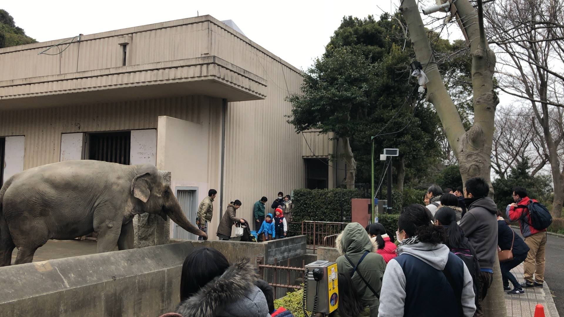 野生のゾウに思いをはせて...バレンタインイベントのご報告の写真