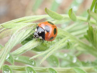 園内の動物たちが目覚める春