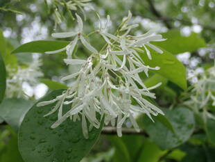 １０連休を終えて！