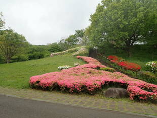 大型連休後半にむけて