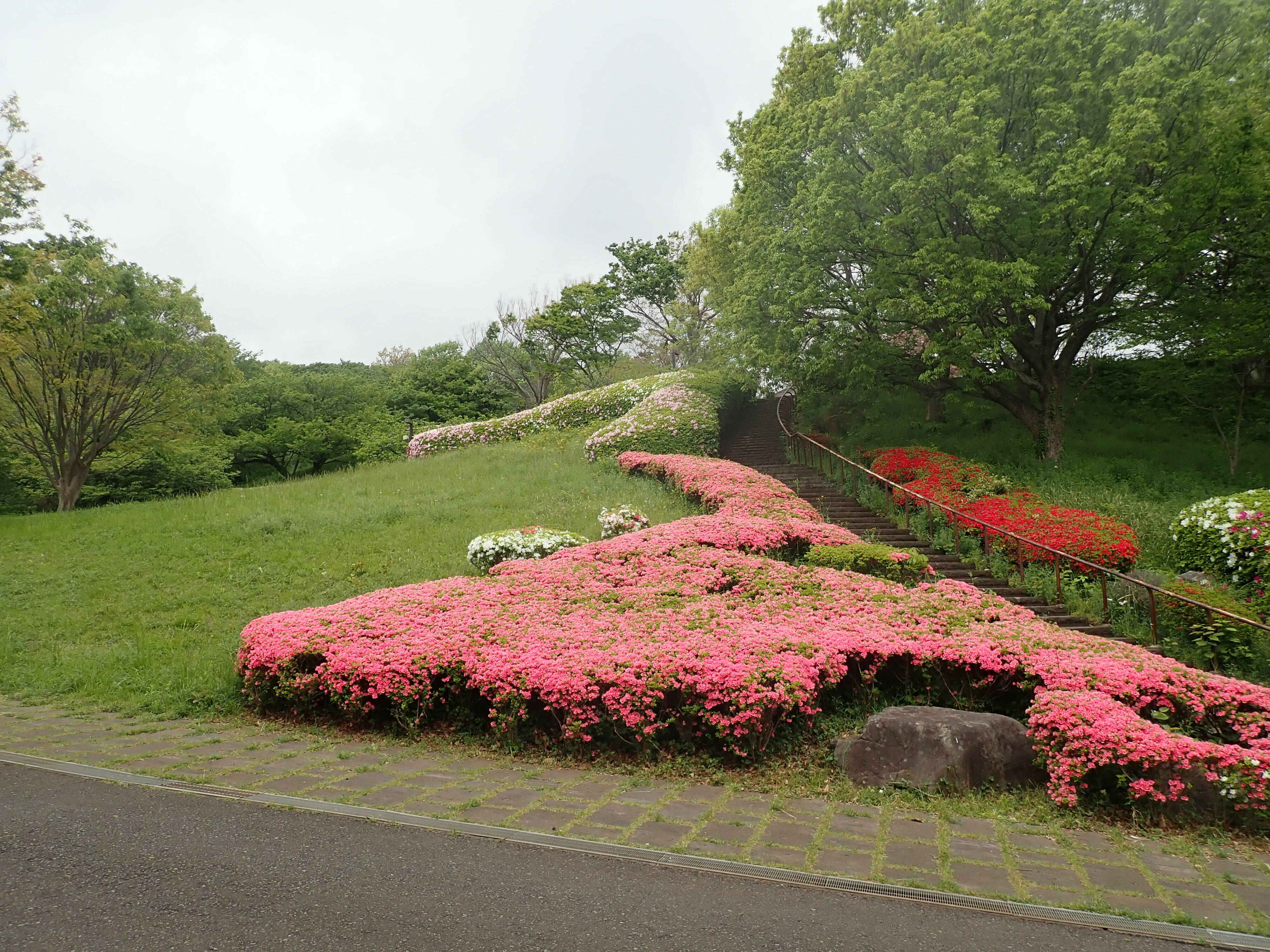 大型連休後半にむけての写真
