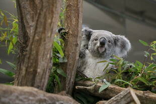 ただいま、練習中❗