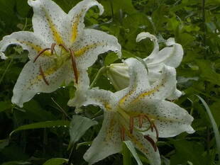 そろそろ!これから!