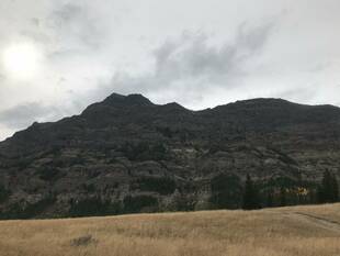 アメリカに行ってきました~イエローストーン編②~