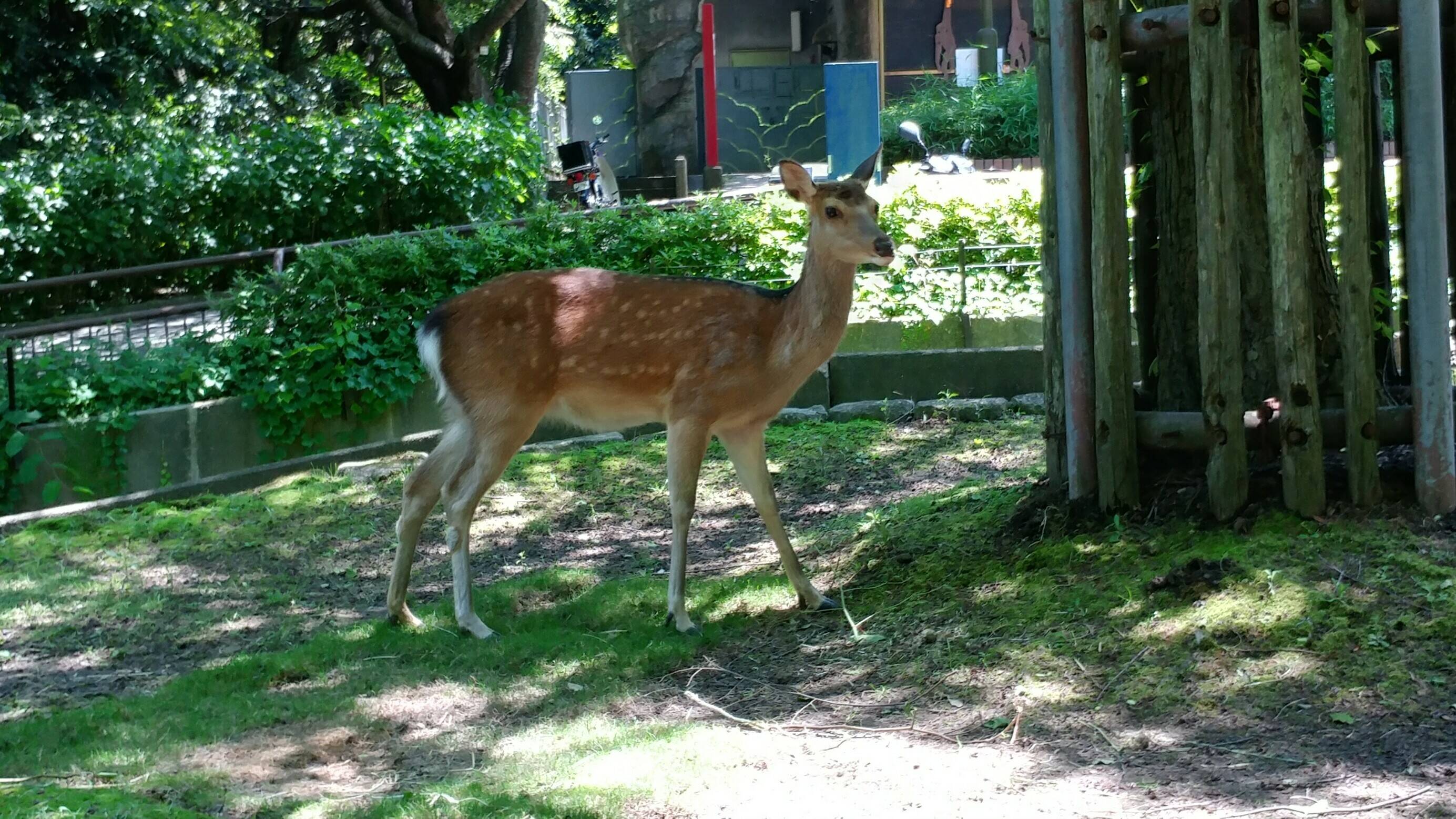 お気づきですか・・・?の写真
