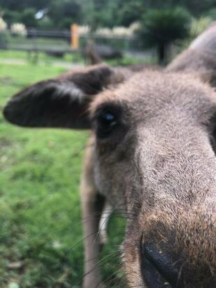 ウォークスルーの昼休止期間を延長します
