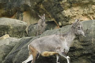 バーラル展示場練習中!②