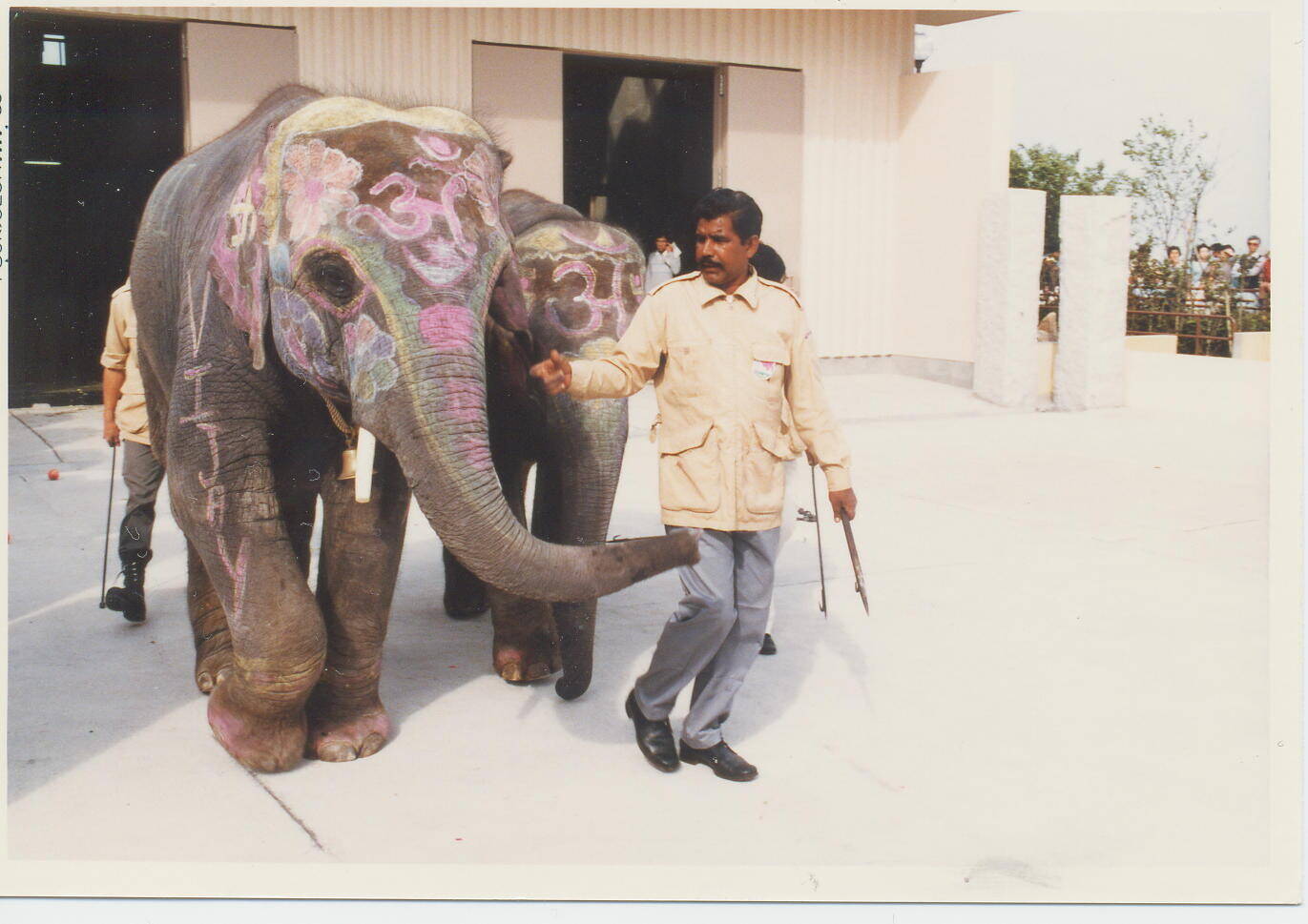 インドゾウ舎リフォーム中の写真
