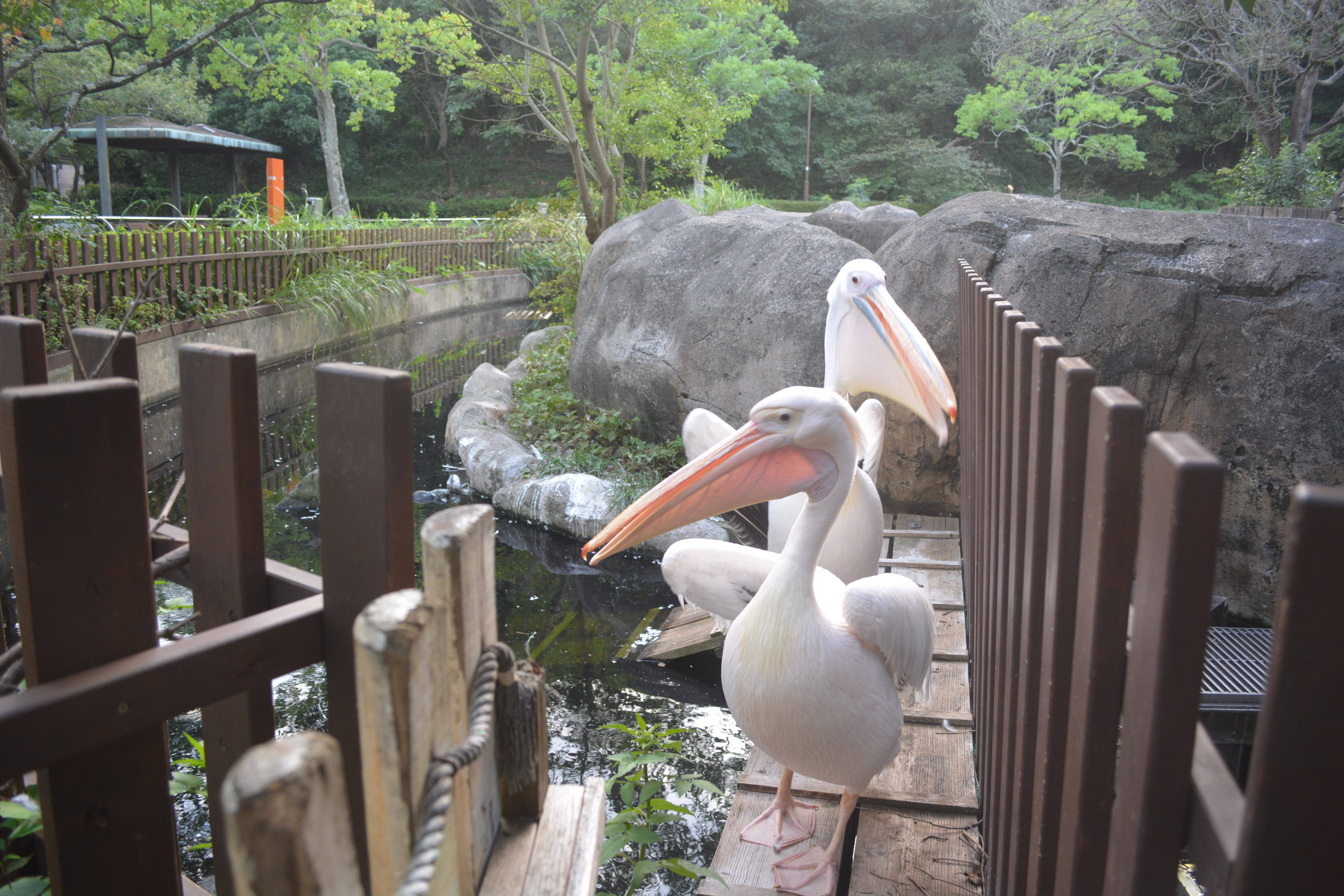 帰りますよ!の写真