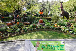 ほのぼの広場のハロウィン(前編)