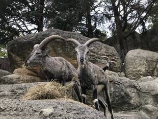 芸術ツノ秋① バーラル誰でしょうクイズ