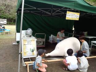 アート展10周年特別企画進行中