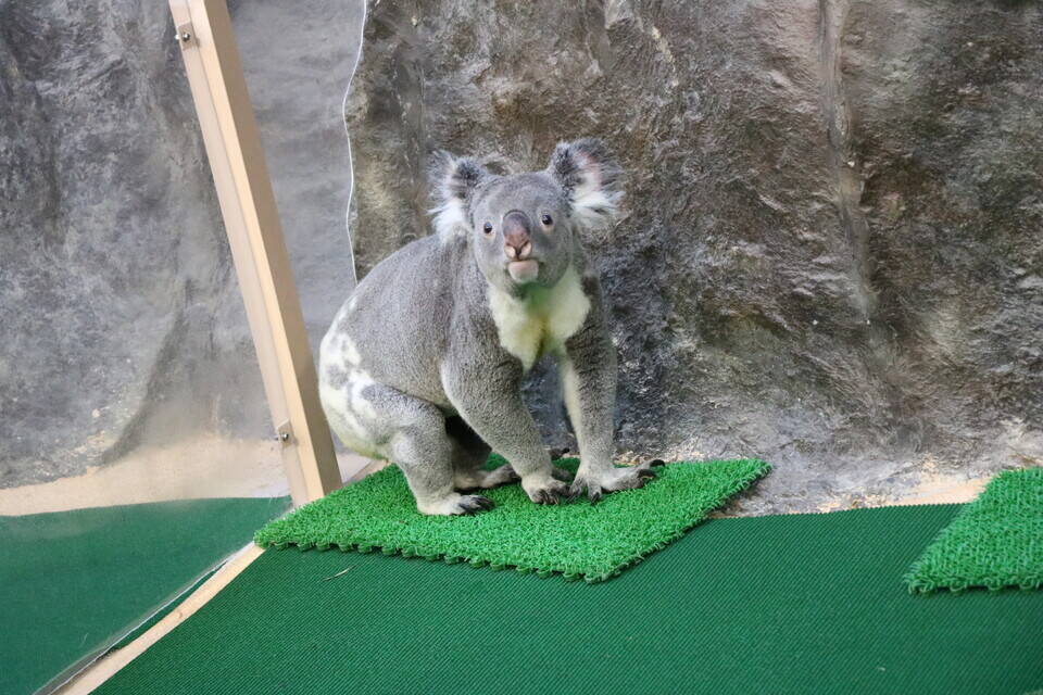 ユウキのことの写真