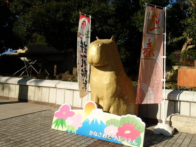 でっかいカピバラの作り方②の写真