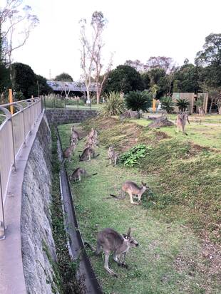 ウォークスルーの利用時間を変更します（冬期）※12月3日から