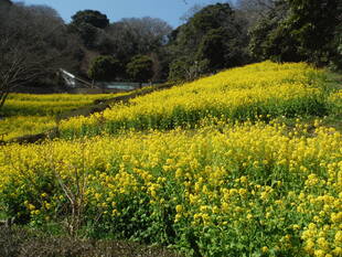 無事を祈る...。