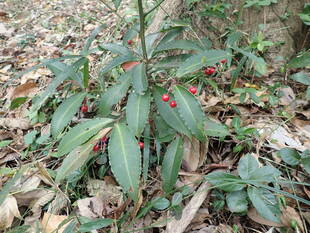 「本年も押し詰まりました」