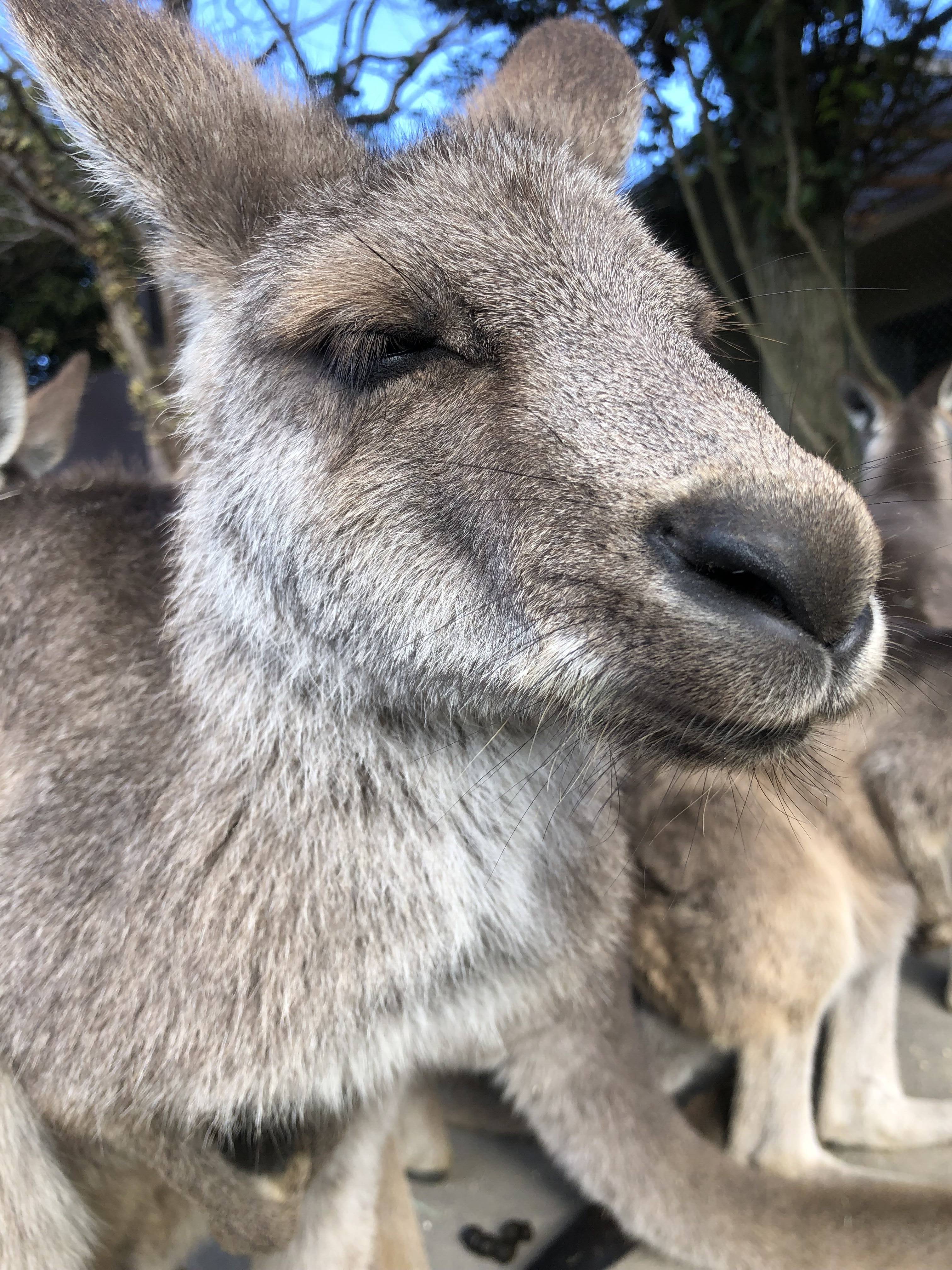 あけましておめでとうございます!の写真