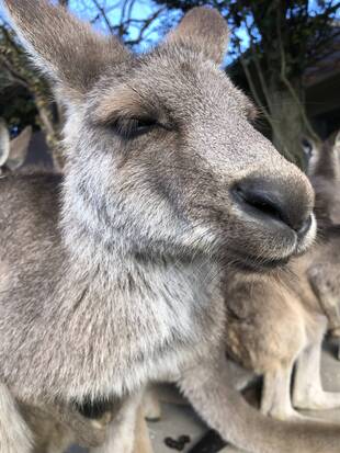 あけましておめでとうございます！