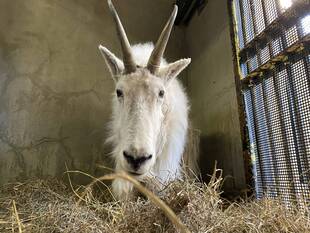 HAPPY NEW YEAR★2020