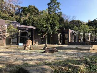 ウォークスルーの展示状況
