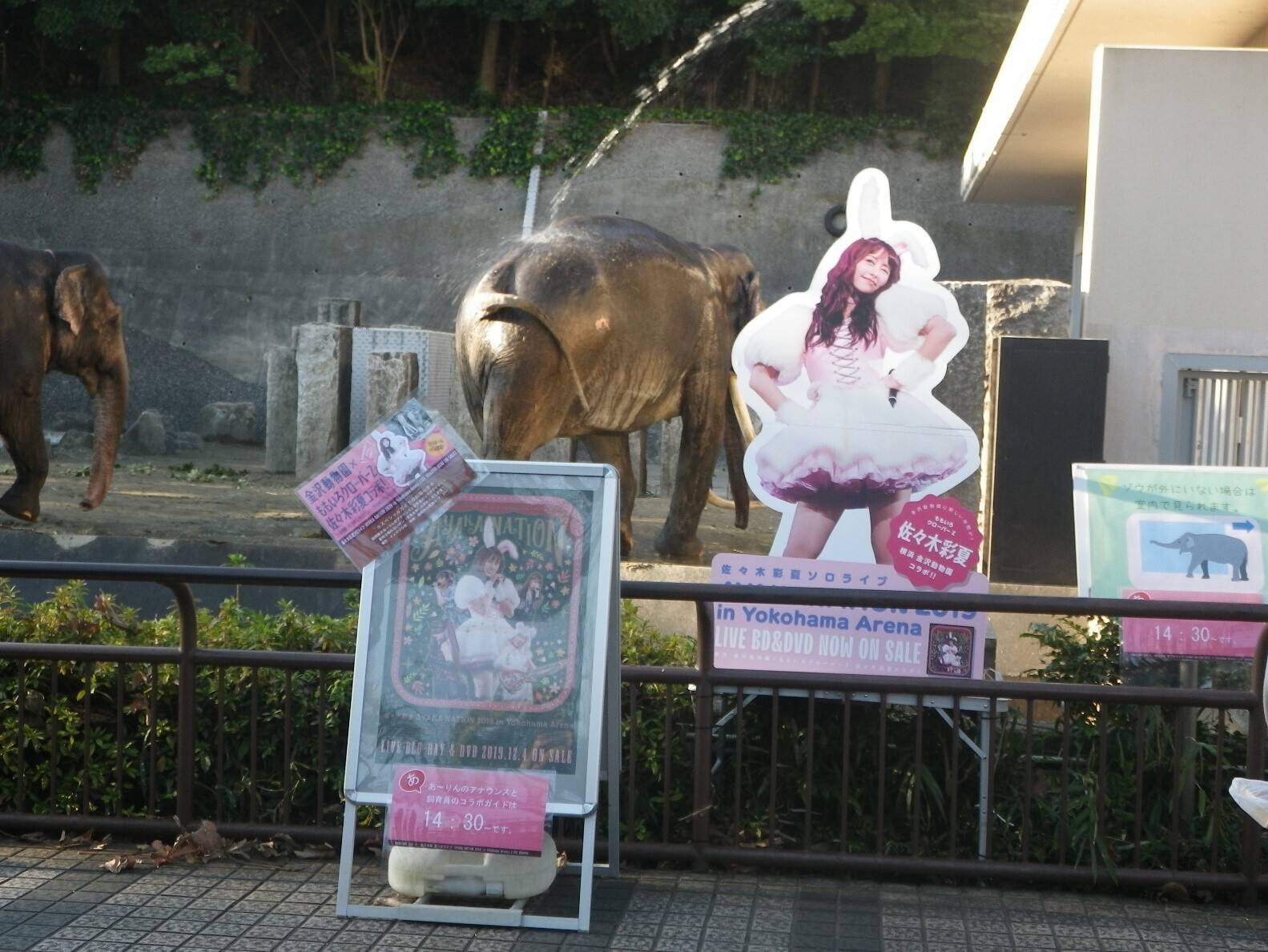 あーりんとのコラボを終えての写真