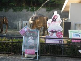 あーりんとのコラボを終えて