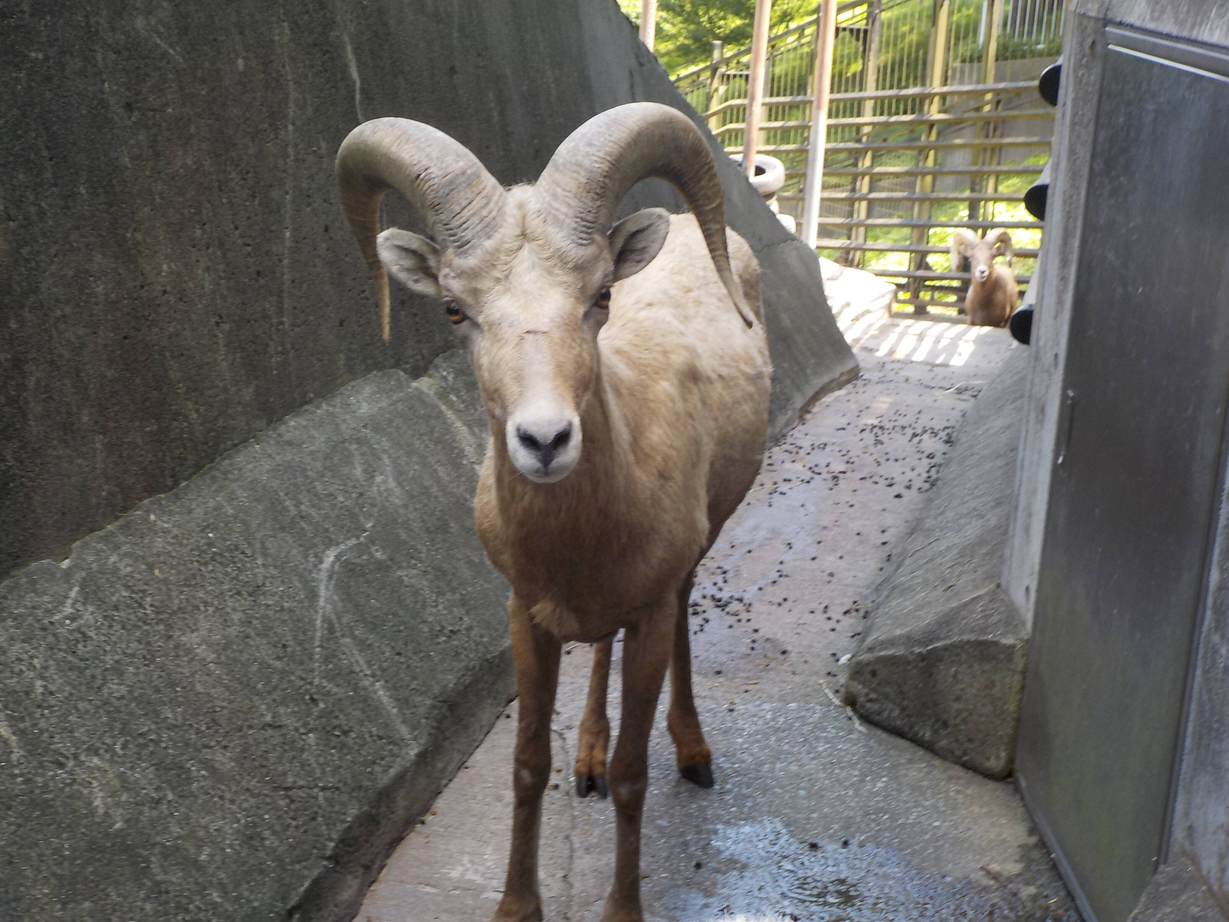 私は誰でしょう? ②の写真