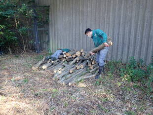 いきものガーデンでカブト・クワガタの繁殖地整備をしました
