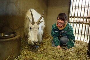 出会いと別れの季節～金沢での5年間～