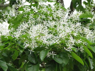 あともう少し？