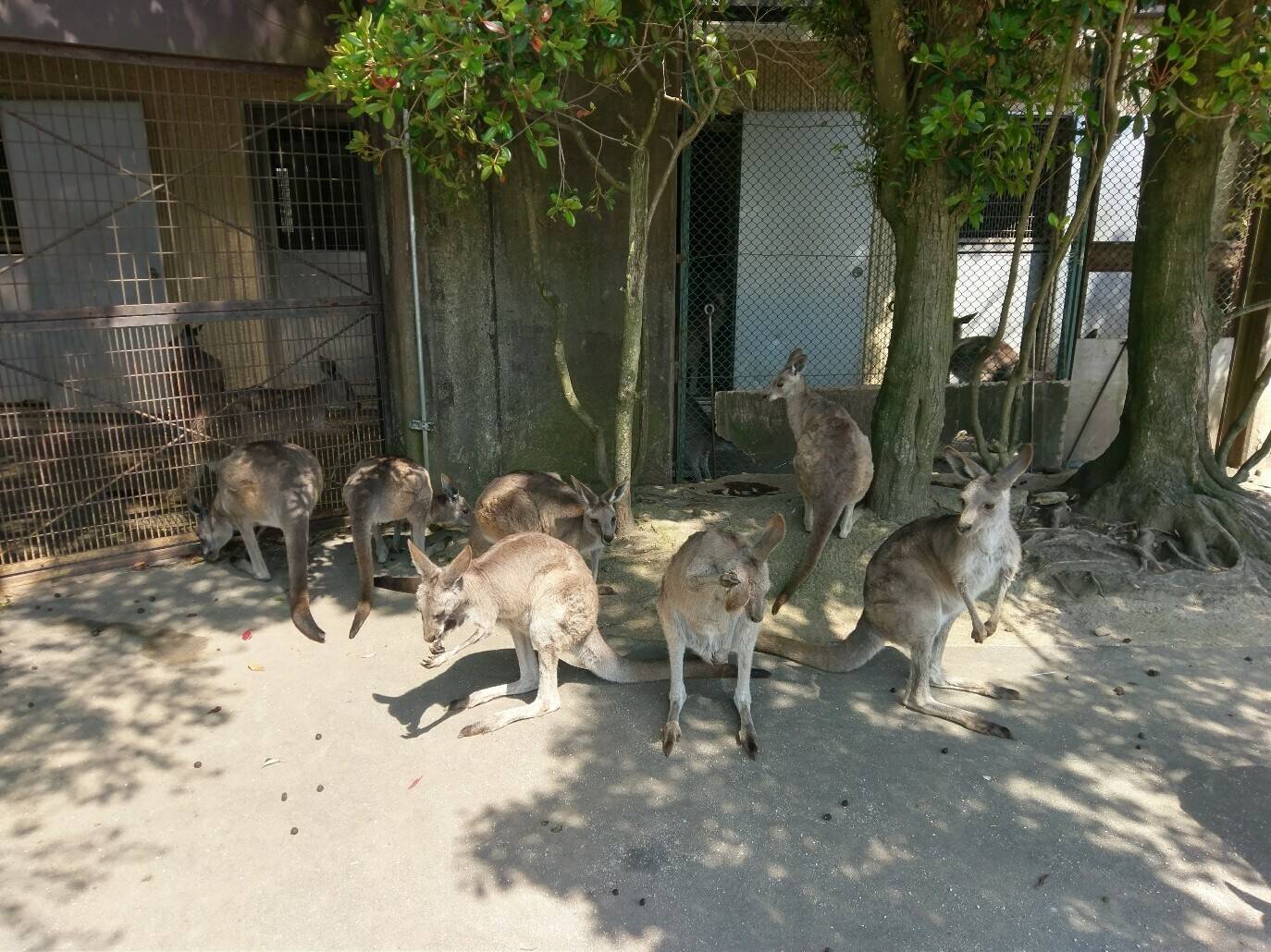 気温が上がって・・・の写真