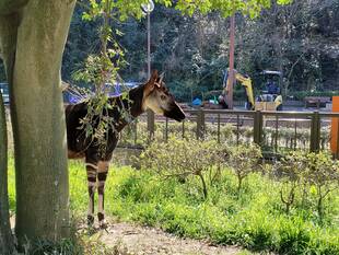 プチリニューアル？