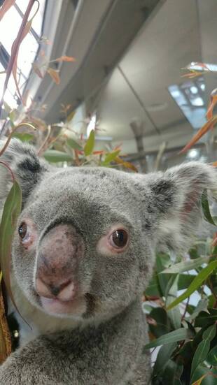 ユイちゃん　いろいろ