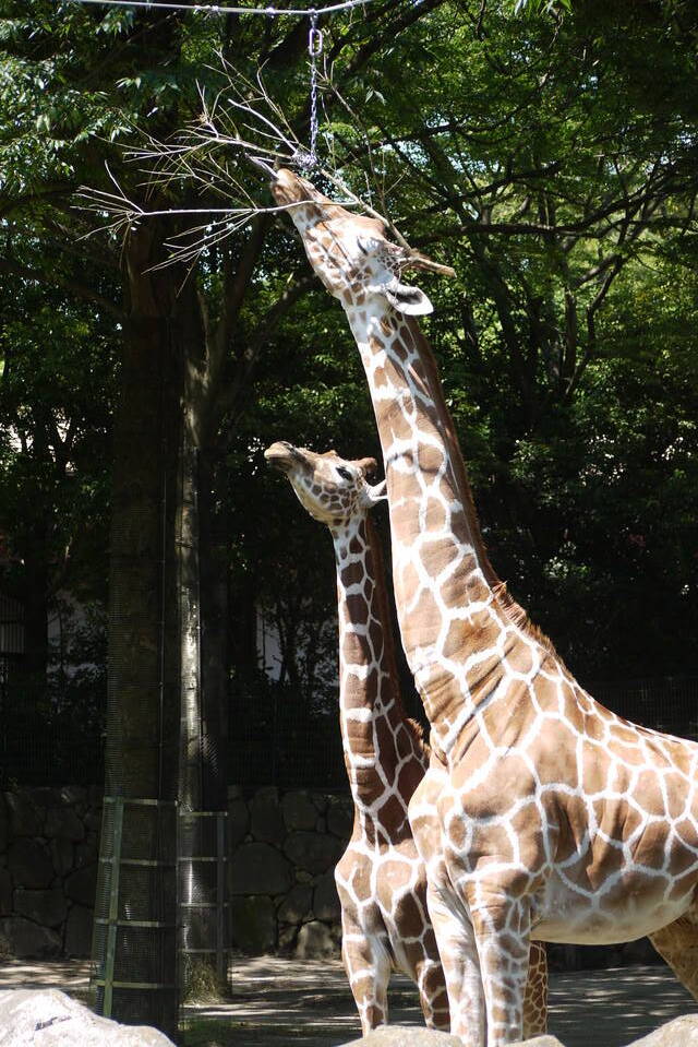 3年目の写真