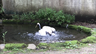 戻ってきたよ！！