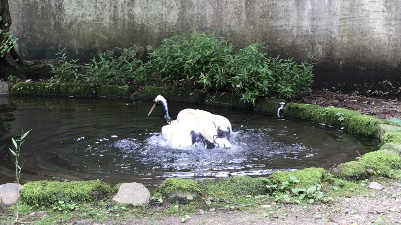 戻ってきたよ!!の写真